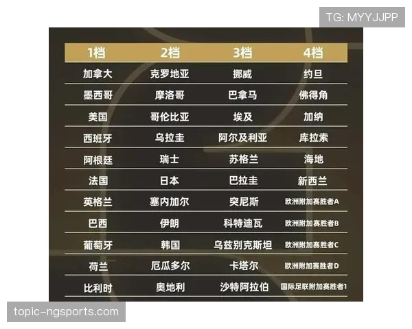 世界杯豪门球队最稳定位置排行榜